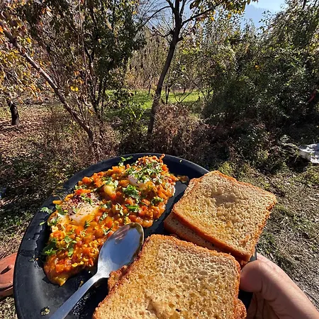 Basecamp Manali-2